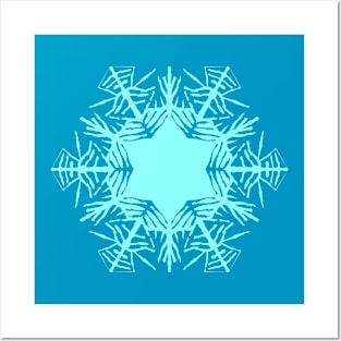 Snowflake Snowflake Posters and Art